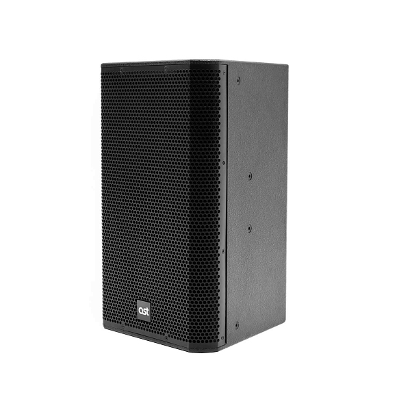 Активная акустическая система AST-310A в Немане