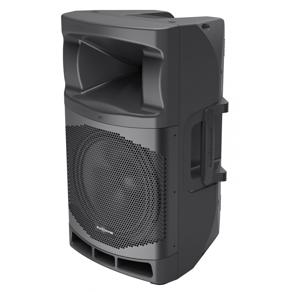 Audiocenter MA12 активная акустическая система в Немане