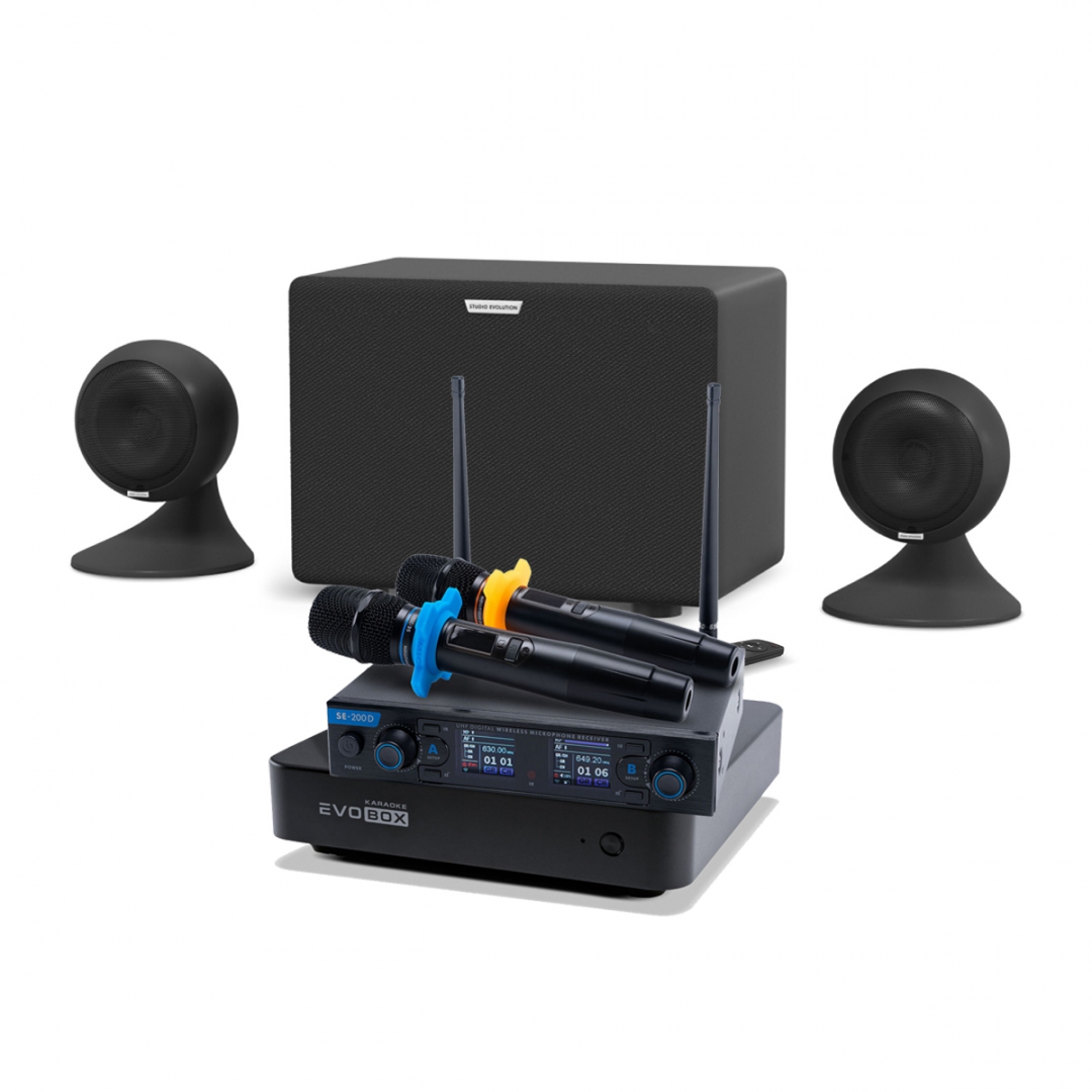 караоке-комплект EVOBOX + EvoSound Sphere 2.1 в Немане