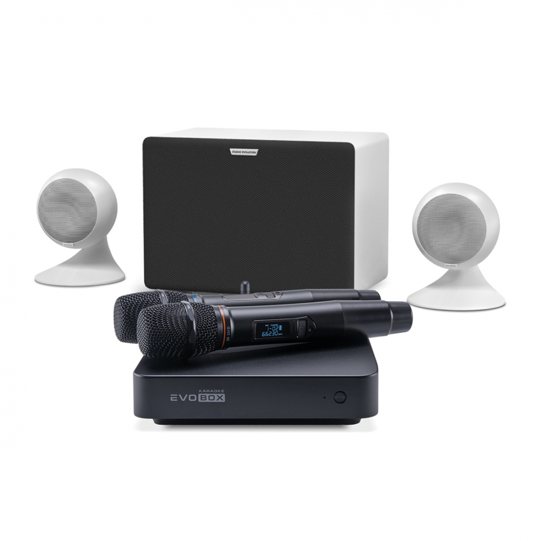 караоке-комплект EVOBOX Classic + EvoSound Sphere 2.1 в Немане