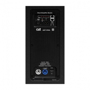 Активная акустическая система AST-310A в Немане