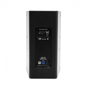 Активная акустическая система AST-310A в Немане