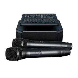 AST ZOOM профессиональная караоке-система в Немане