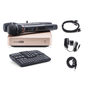 EVOBOX Classic караоке-система для дома в Немане
