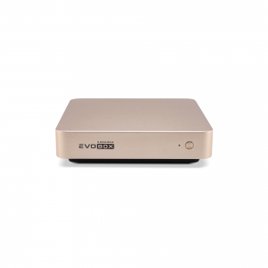 EVOBOX с микрофонами в Немане