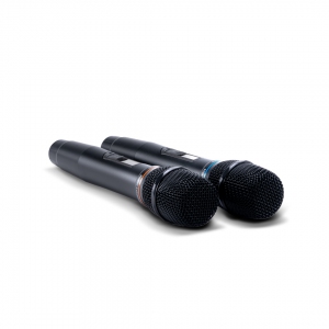 SE-200D цифровые микрофоны в Немане