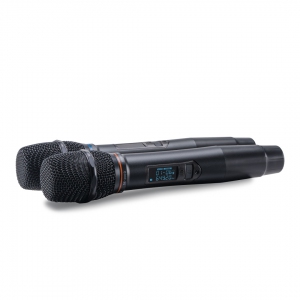 SE-200D цифровые микрофоны в Немане